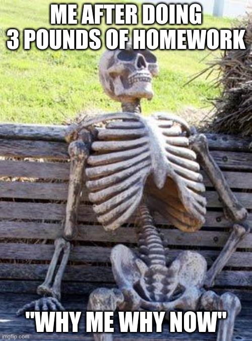 Waiting Skeleton | ME AFTER DOING 3 POUNDS OF HOMEWORK; "WHY ME WHY NOW" | image tagged in memes,waiting skeleton | made w/ Imgflip meme maker