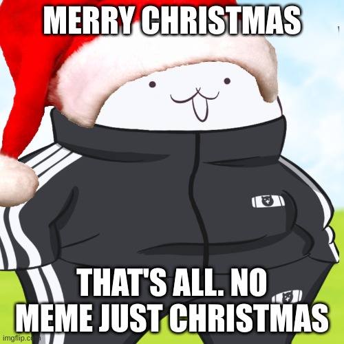 merry christmas everyone | MERRY CHRISTMAS; THAT'S ALL. NO MEME JUST CHRISTMAS | image tagged in christmas | made w/ Imgflip meme maker