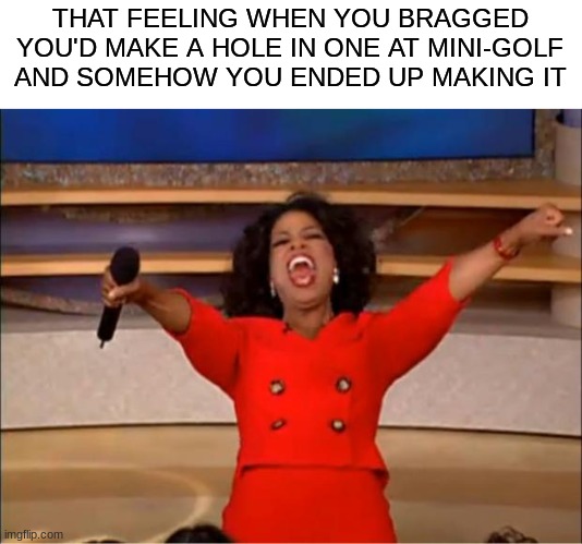 Mini-golf takes me back bro | THAT FEELING WHEN YOU BRAGGED YOU'D MAKE A HOLE IN ONE AT MINI-GOLF AND SOMEHOW YOU ENDED UP MAKING IT | image tagged in memes,oprah you get a,yes,hole in one baby | made w/ Imgflip meme maker