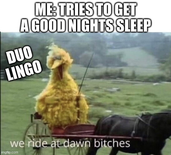 We ride at dawn bitches | ME: TRIES TO GET A GOOD NIGHTS SLEEP; DUO LINGO | image tagged in we ride at dawn bitches | made w/ Imgflip meme maker