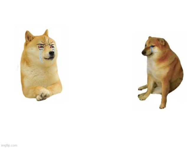 Buff Doge vs. Cheems Meme - Imgflip