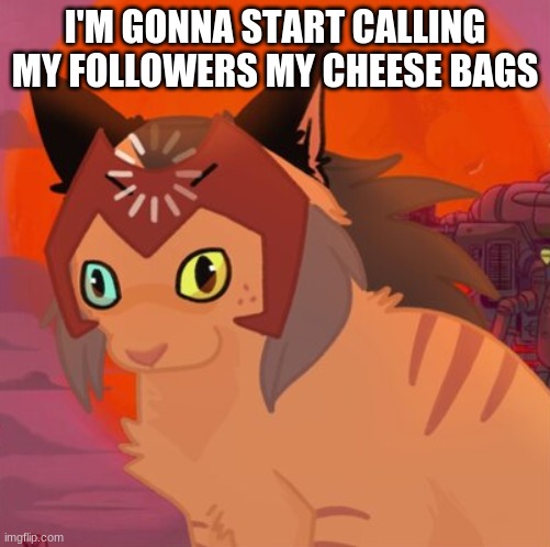 confused catra | I'M GONNA START CALLING MY FOLLOWERS MY CHEESE BAGS | image tagged in confused catra | made w/ Imgflip meme maker