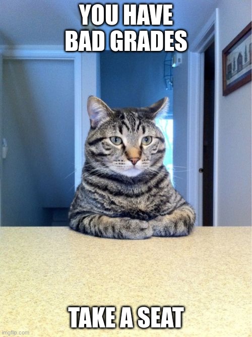 Take A Seat Cat |  YOU HAVE BAD GRADES; TAKE A SEAT | image tagged in memes,take a seat cat | made w/ Imgflip meme maker
