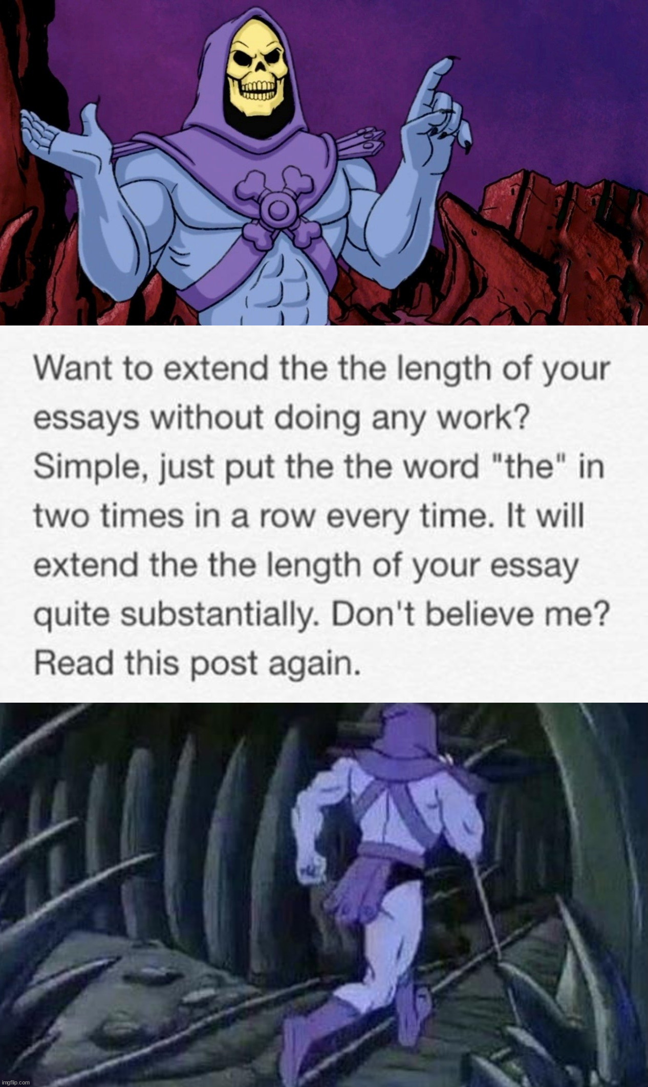 How to make an essay longer | image tagged in he man skeleton advices | made w/ Imgflip meme maker