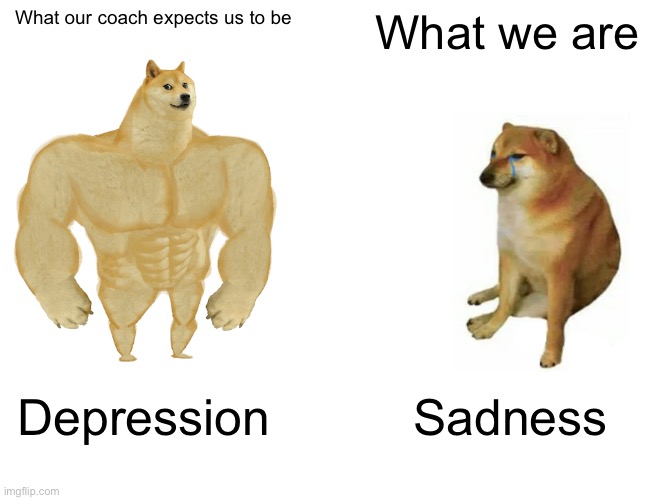 Buff Doge vs. Cheems | What our coach expects us to be; What we are; Depression; Sadness | image tagged in memes,buff doge vs cheems | made w/ Imgflip meme maker