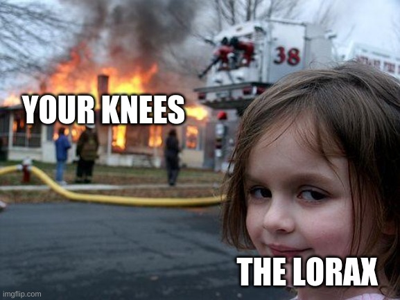 YOUR KNEES THE LORAX | image tagged in memes,disaster girl | made w/ Imgflip meme maker