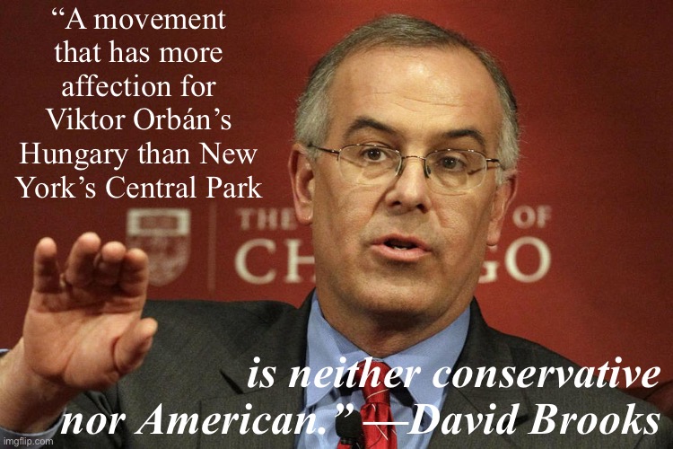 David Brooks on Trumpism | “A movement that has more affection for Viktor Orbán’s Hungary than New York’s Central Park; is neither conservative nor American.” —David Brooks | image tagged in davis brooks | made w/ Imgflip meme maker
