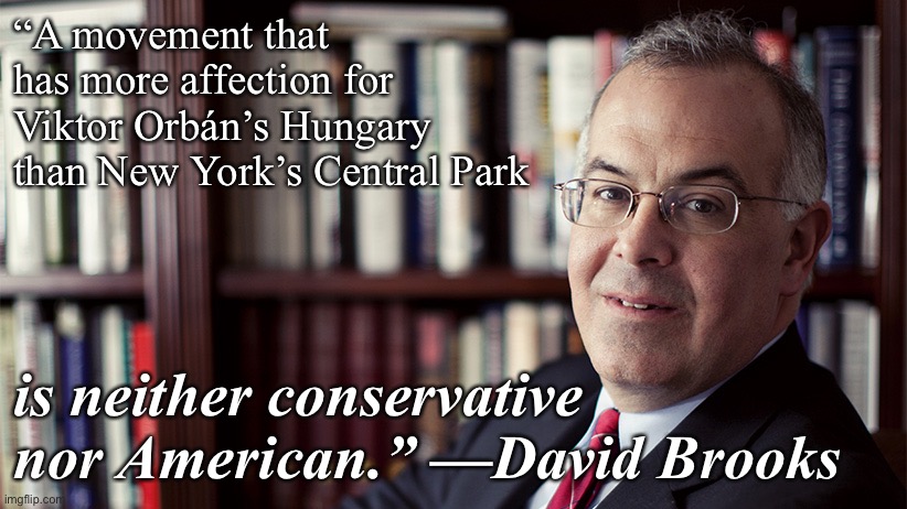 David Brooks on Trumpism | “A movement that has more affection for Viktor Orbán’s Hungary than New York’s Central Park; is neither conservative nor American.” —David Brooks | image tagged in davis brooks,conservative hypocrisy,conservative logic,hungary,viktor orban,new york | made w/ Imgflip meme maker