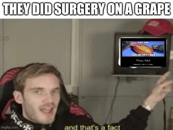 They did surgery on a grape | THEY DID SURGERY ON A GRAPE | image tagged in they did surgery on a grape | made w/ Imgflip meme maker