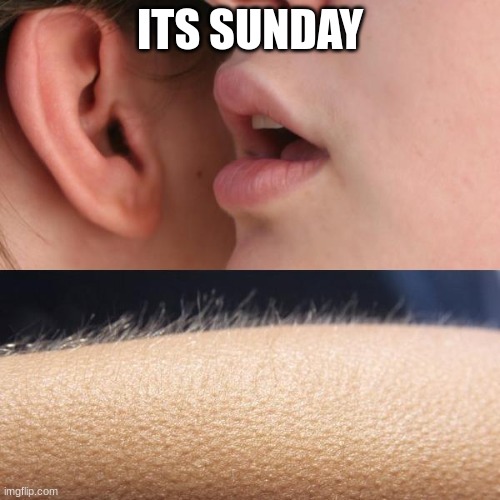 Whisper and Goosebumps | ITS SUNDAY | image tagged in whisper and goosebumps | made w/ Imgflip meme maker