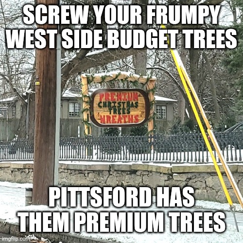 Rochester Humor | SCREW YOUR FRUMPY WEST SIDE BUDGET TREES; PITTSFORD HAS THEM PREMIUM TREES | image tagged in rochester,funny,christmas,christmas tree,rochester ny | made w/ Imgflip meme maker