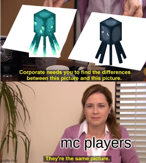 They're The Same Picture Meme | mc players | image tagged in memes,they're the same picture | made w/ Imgflip meme maker