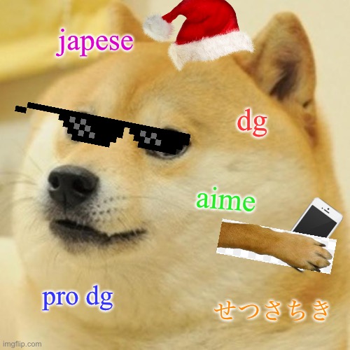 the doge meme if people knew where the dog came from | japese; dg; aime; pro dg; せつさちき | image tagged in memes,doge | made w/ Imgflip meme maker