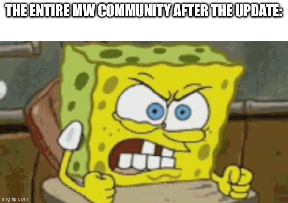 Right now | THE ENTIRE MW COMMUNITY AFTER THE UPDATE: | image tagged in bruh | made w/ Imgflip meme maker