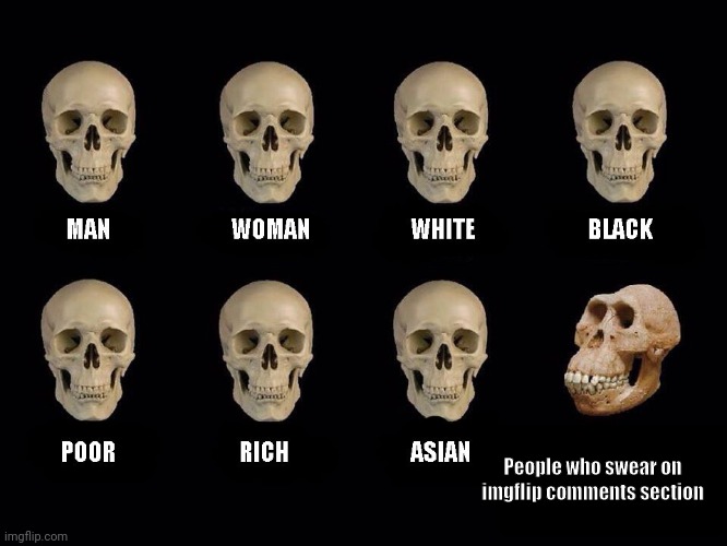 Seriously, don't swear here! Nobody likes it! :( | People who swear on imgflip comments section | image tagged in empty skulls of truth,imgflip users,imgflip,dont swear kids | made w/ Imgflip meme maker