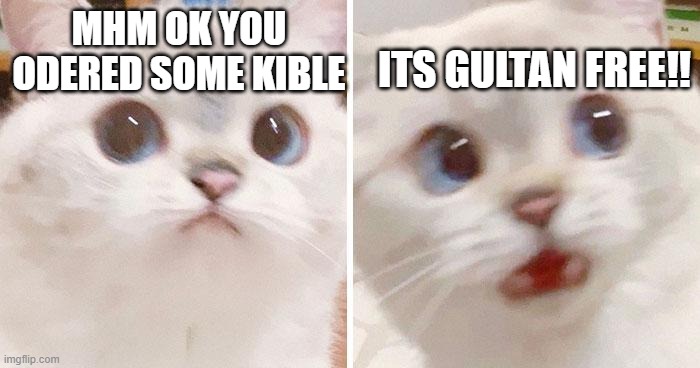 oh okay some kible | ITS GULTAN FREE!! MHM OK YOU ODERED SOME KIBLE | image tagged in suprised cat meme | made w/ Imgflip meme maker