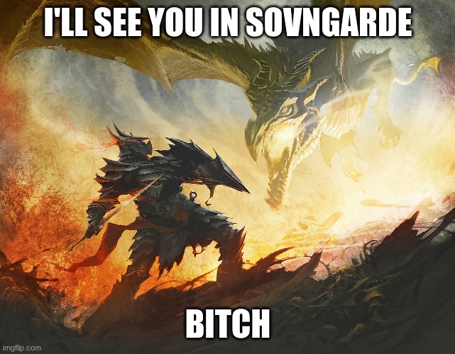 I'LL SEE YOU IN SOVNGARDE BITCH | made w/ Imgflip meme maker