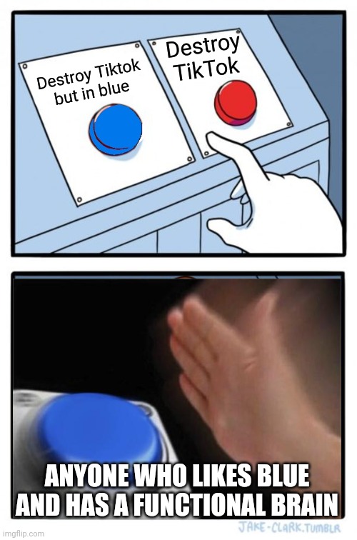 Two Buttons Meme | Destroy TikTok; Destroy Tiktok but in blue; ANYONE WHO LIKES BLUE AND HAS A FUNCTIONAL BRAIN | image tagged in memes,two buttons | made w/ Imgflip meme maker