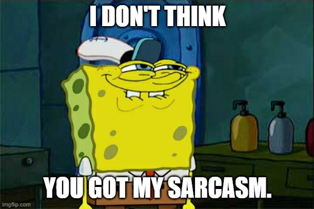 Don't You Squidward Meme | I DON'T THINK YOU GOT MY SARCASM. | image tagged in memes,don't you squidward | made w/ Imgflip meme maker