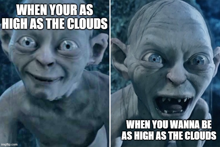 Gollum good/bad | WHEN YOUR AS HIGH AS THE CLOUDS; WHEN YOU WANNA BE AS HIGH AS THE CLOUDS | image tagged in gollum good/bad | made w/ Imgflip meme maker