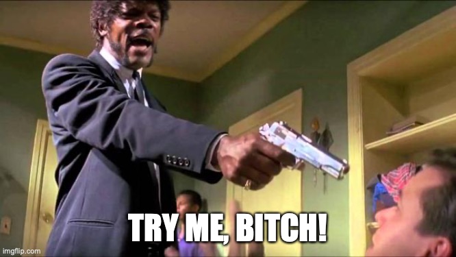 Say what again | TRY ME, BITCH! | image tagged in say what again | made w/ Imgflip meme maker