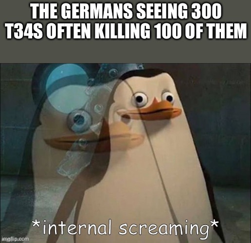 tanks | THE GERMANS SEEING 300 T34S OFTEN KILLING 100 OF THEM | image tagged in private internal screaming | made w/ Imgflip meme maker