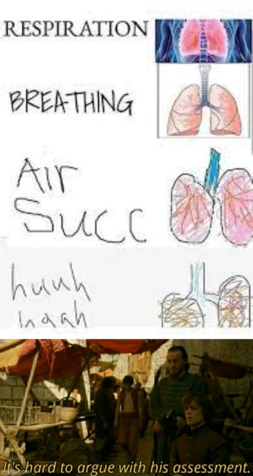A I R   S U C C | image tagged in it is hard to argue with his assessment,air succ,science | made w/ Imgflip meme maker