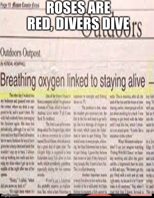 Bruh | ROSES ARE RED, DIVERS DIVE | image tagged in why are you reading this,lol | made w/ Imgflip meme maker