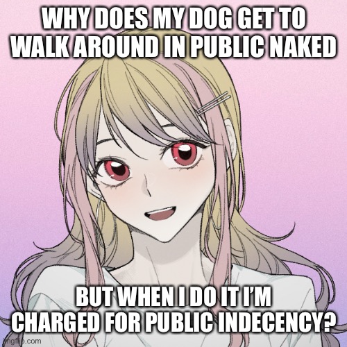 peachytroopa’s new picrew | WHY DOES MY DOG GET TO WALK AROUND IN PUBLIC NAKED; BUT WHEN I DO IT I’M CHARGED FOR PUBLIC INDECENCY? | image tagged in peachytroopa s new picrew | made w/ Imgflip meme maker