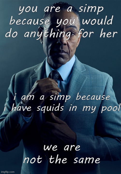 lo | you are a simp because you would do anything for her; i am a simp because i have squids in my pool; we are not the same | image tagged in gus fring we are not the same | made w/ Imgflip meme maker