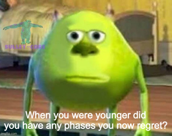 I had a tomboy phase. | When you were younger did you have any phases you now regret? | image tagged in monsters inc | made w/ Imgflip meme maker