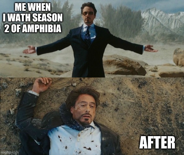 Tony Stark Before and After | ME WHEN I WATH SEASON 2 OF AMPHIBIA; AFTER | image tagged in before after tony stark,oh god why | made w/ Imgflip meme maker