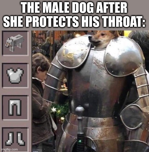 THE MALE DOG AFTER SHE PROTECTS HIS THROAT: | made w/ Imgflip meme maker