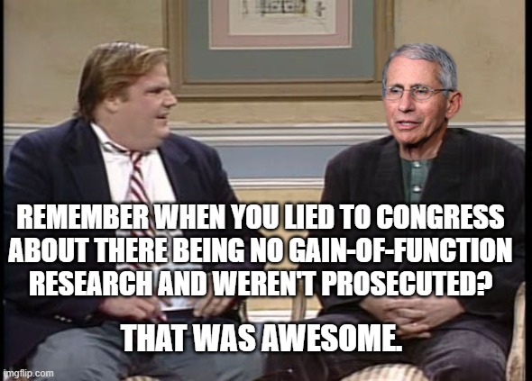 Chris Farley Show Dr. Fauci | REMEMBER WHEN YOU LIED TO CONGRESS ABOUT THERE BEING NO GAIN-OF-FUNCTION RESEARCH AND WEREN'T PROSECUTED? THAT WAS AWESOME. | image tagged in chris farley show dr fauci | made w/ Imgflip meme maker