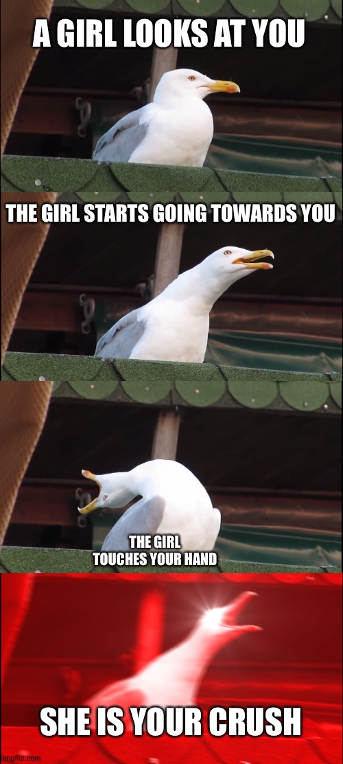 Hmm... Yes me lonely | A GIRL LOOKS AT YOU; THE GIRL STARTS GOING TOWARDS YOU; THE GIRL TOUCHES YOUR HAND; SHE IS YOUR CRUSH | image tagged in memes,inhaling seagull | made w/ Imgflip meme maker