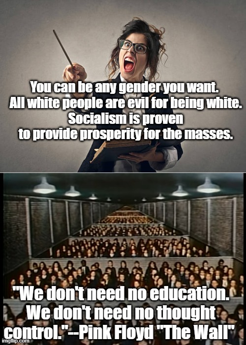 You can be any gender you want. 
All white people are evil for being white.
Socialism is proven to provide prosperity for the masses. "We don't need no education. We don't need no thought control."--Pink Floyd "The Wall" | made w/ Imgflip meme maker