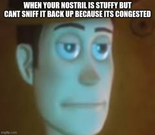 relatable | WHEN YOUR NOSTRIL IS STUFFY BUT CANT SNIFF IT BACK UP BECAUSE ITS CONGESTED | image tagged in disappointed woody | made w/ Imgflip meme maker
