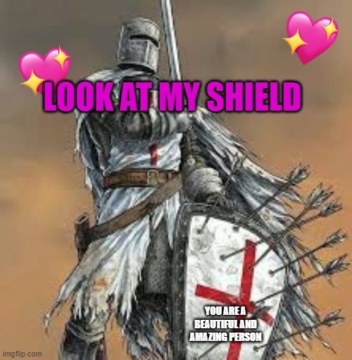 look at the shield :3 | LOOK AT MY SHIELD; YOU ARE A BEAUTIFUL AND AMAZING PERSON | image tagged in crusade,wholesome,crusader | made w/ Imgflip meme maker