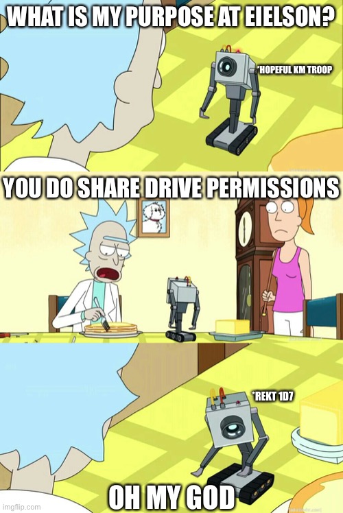 Rick & Morty What is my purpose?  You pass butter | WHAT IS MY PURPOSE AT EIELSON? *HOPEFUL KM TROOP; YOU DO SHARE DRIVE PERMISSIONS; *REKT 1D7; OH MY GOD | image tagged in rick morty what is my purpose you pass butter | made w/ Imgflip meme maker