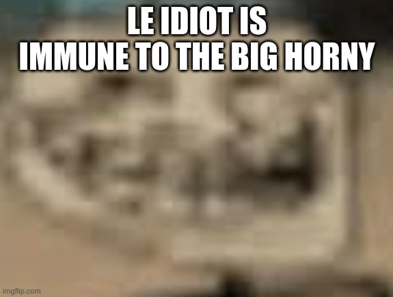 Low Quality Troll Face | LE IDIOT IS IMMUNE TO THE BIG HORNY | image tagged in low quality troll face | made w/ Imgflip meme maker