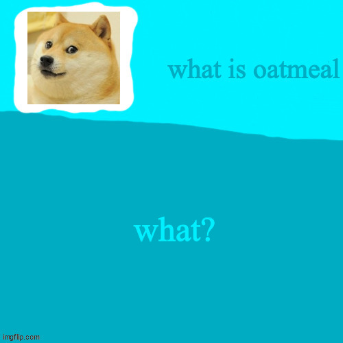 what? | image tagged in my jonathon ripoff template | made w/ Imgflip meme maker