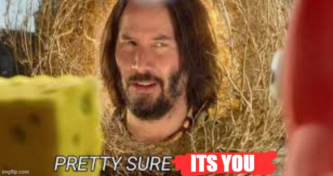 Pretty sure it doesn't | ITS YOU | image tagged in pretty sure it doesn't | made w/ Imgflip meme maker