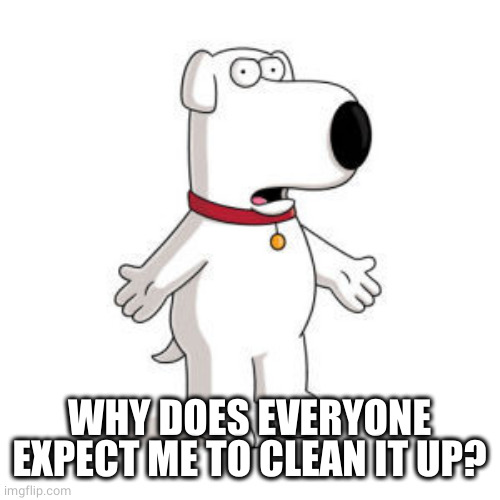 Family Guy Brian Meme | WHY DOES EVERYONE EXPECT ME TO CLEAN IT UP? | image tagged in memes,family guy brian | made w/ Imgflip meme maker