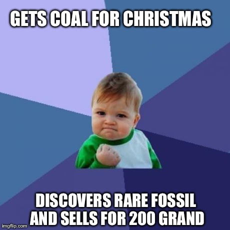 Success Kid | GETS COAL FOR CHRISTMAS DISCOVERS RARE FOSSIL AND SELLS FOR 200 GRAND | image tagged in memes,success kid | made w/ Imgflip meme maker