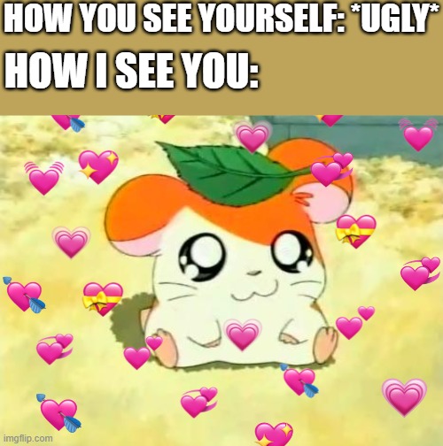 ur adorable af | HOW YOU SEE YOURSELF: *UGLY*; HOW I SEE YOU: | image tagged in memes,hamtaro,anime,wholesome | made w/ Imgflip meme maker