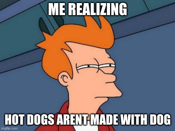 hm | ME REALIZING; HOT DOGS ARENT MADE WITH DOG | image tagged in memes,futurama fry | made w/ Imgflip meme maker