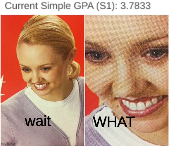 dont mind me just waiting for all of msmg to insult me by calling me a nerd | WHAT; wait | image tagged in wait what,memes,imgflip,school | made w/ Imgflip meme maker
