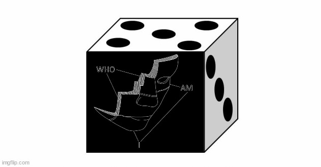 who_am_i on a die | image tagged in who_am_i | made w/ Imgflip meme maker