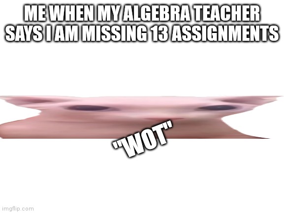 Bingus | ME WHEN MY ALGEBRA TEACHER SAYS I AM MISSING 13 ASSIGNMENTS; "WOT" | image tagged in blank white template | made w/ Imgflip meme maker