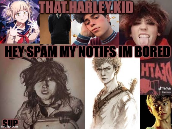 harley temp 2.0 | HEY SPAM MY NOTIFS IM BORED | image tagged in harley temp 2 0 | made w/ Imgflip meme maker